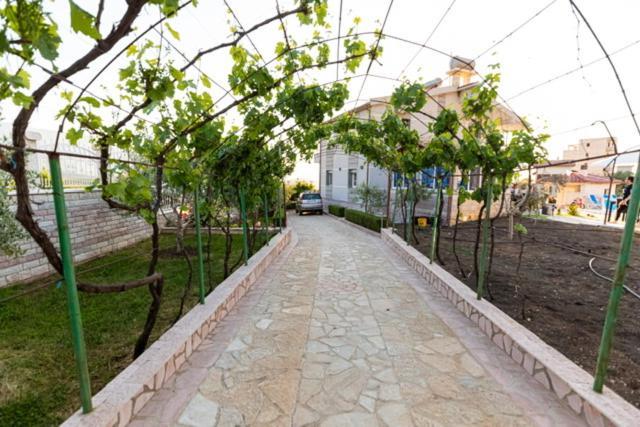 Vila Llano Vlorë Esterno foto